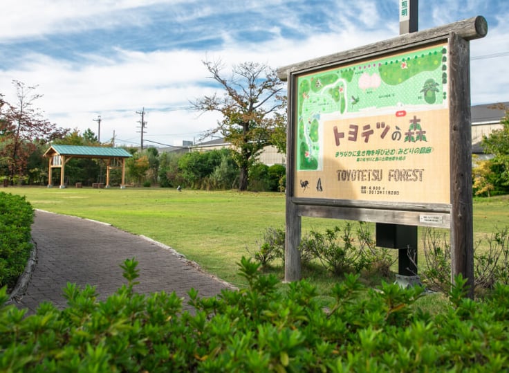 kv_forest_sp