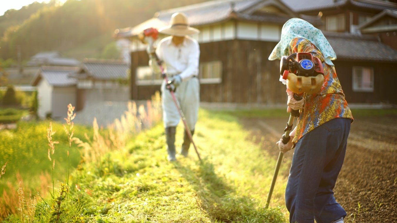 日本の現状