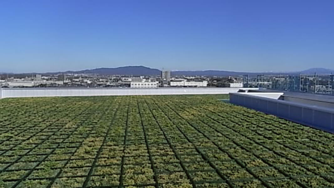 Roof of the main building