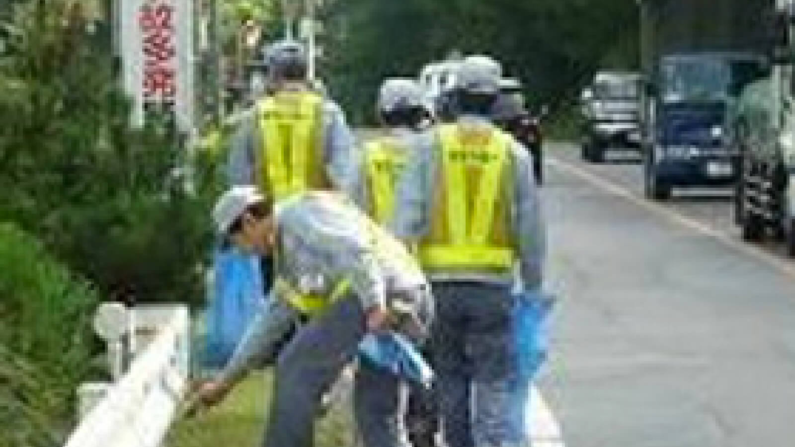 Cleaning activity around the plant premises